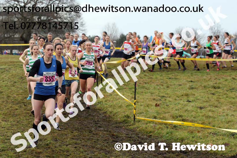 Senior womens North Eastern Cross Country, Aykley Heads, Durham. Photo: David T. Hewitson/Sports for All Pics